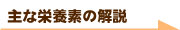 主な栄養素の解説